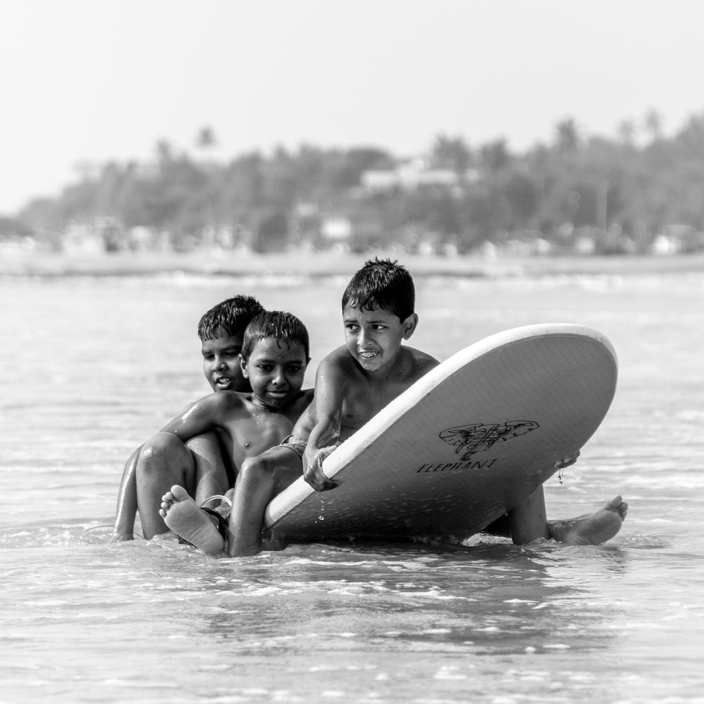 Beginner surf lessons in Weligama, photo of children surfing