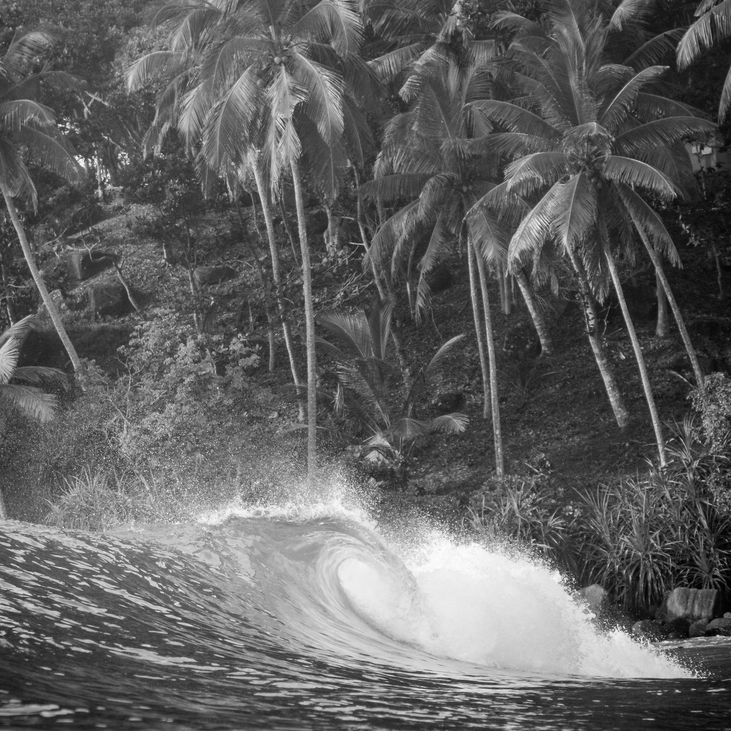 Photo of Mirissa surf point Sri Lanka